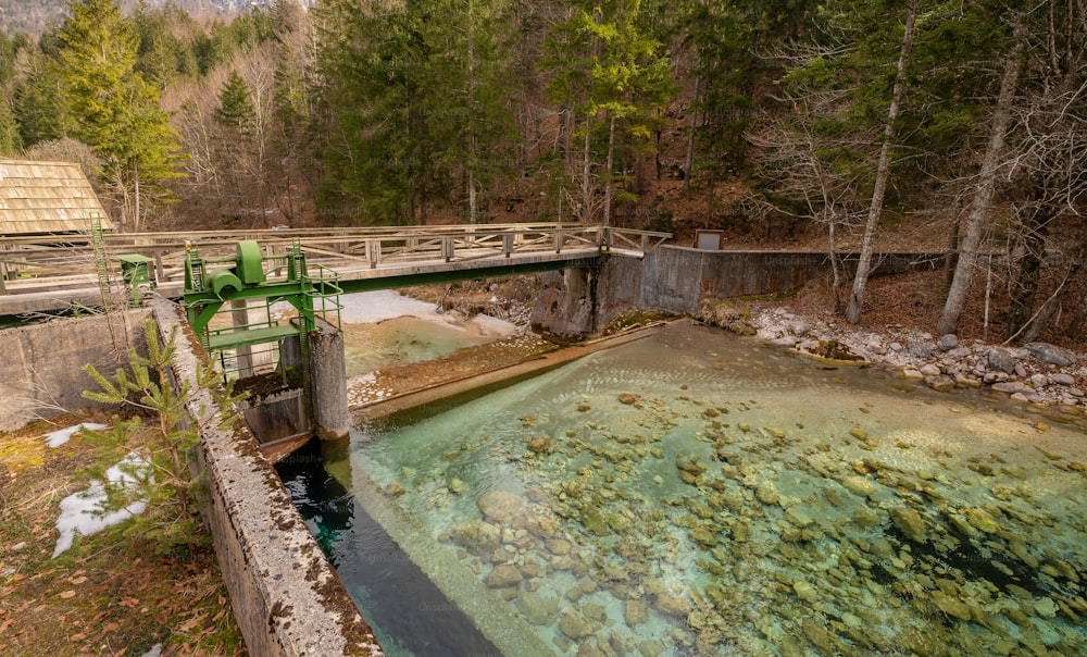 eine kleine Brücke über einen kleinen Bach mitten im Wald