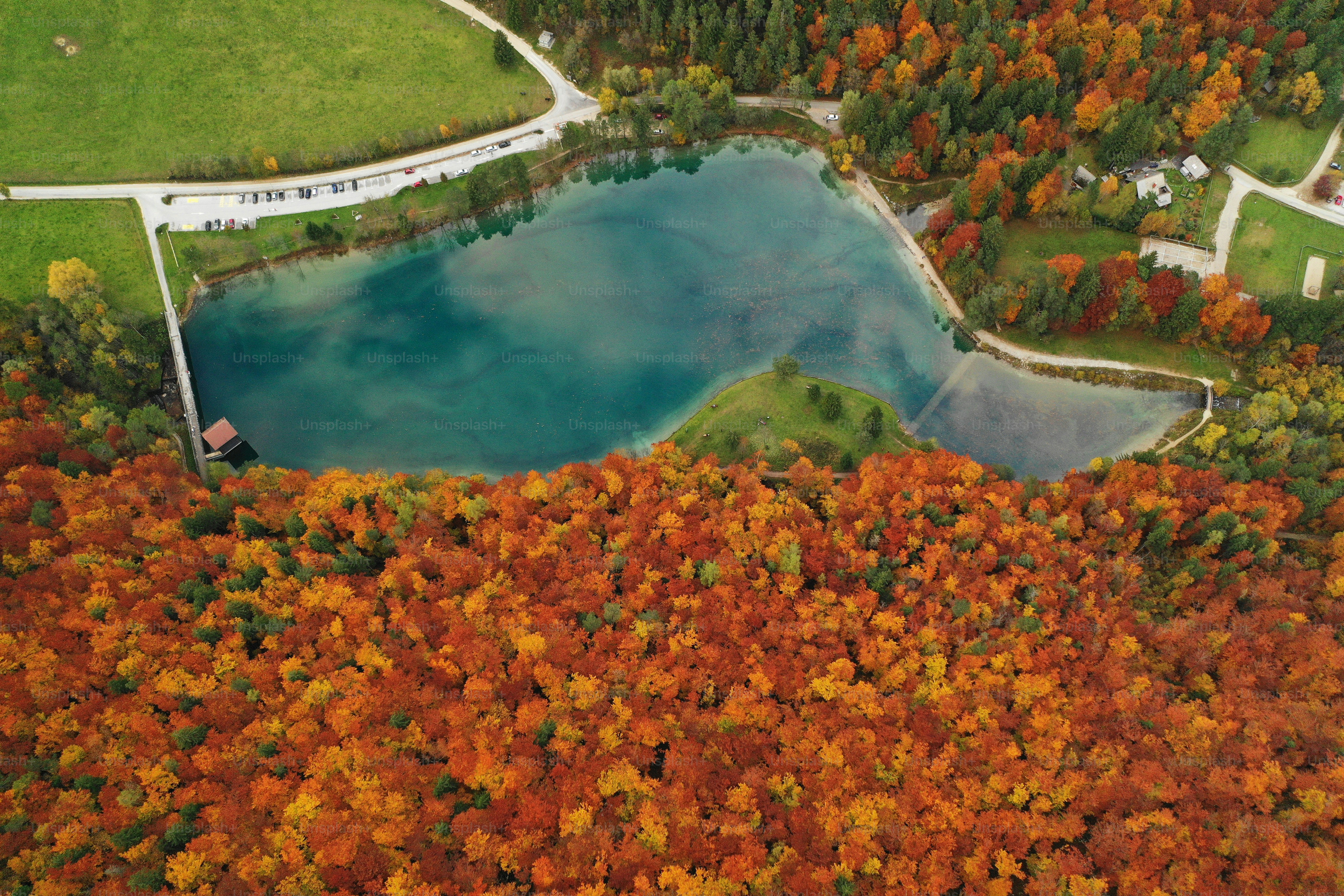 an aerial view of a lake surrounded by trees
