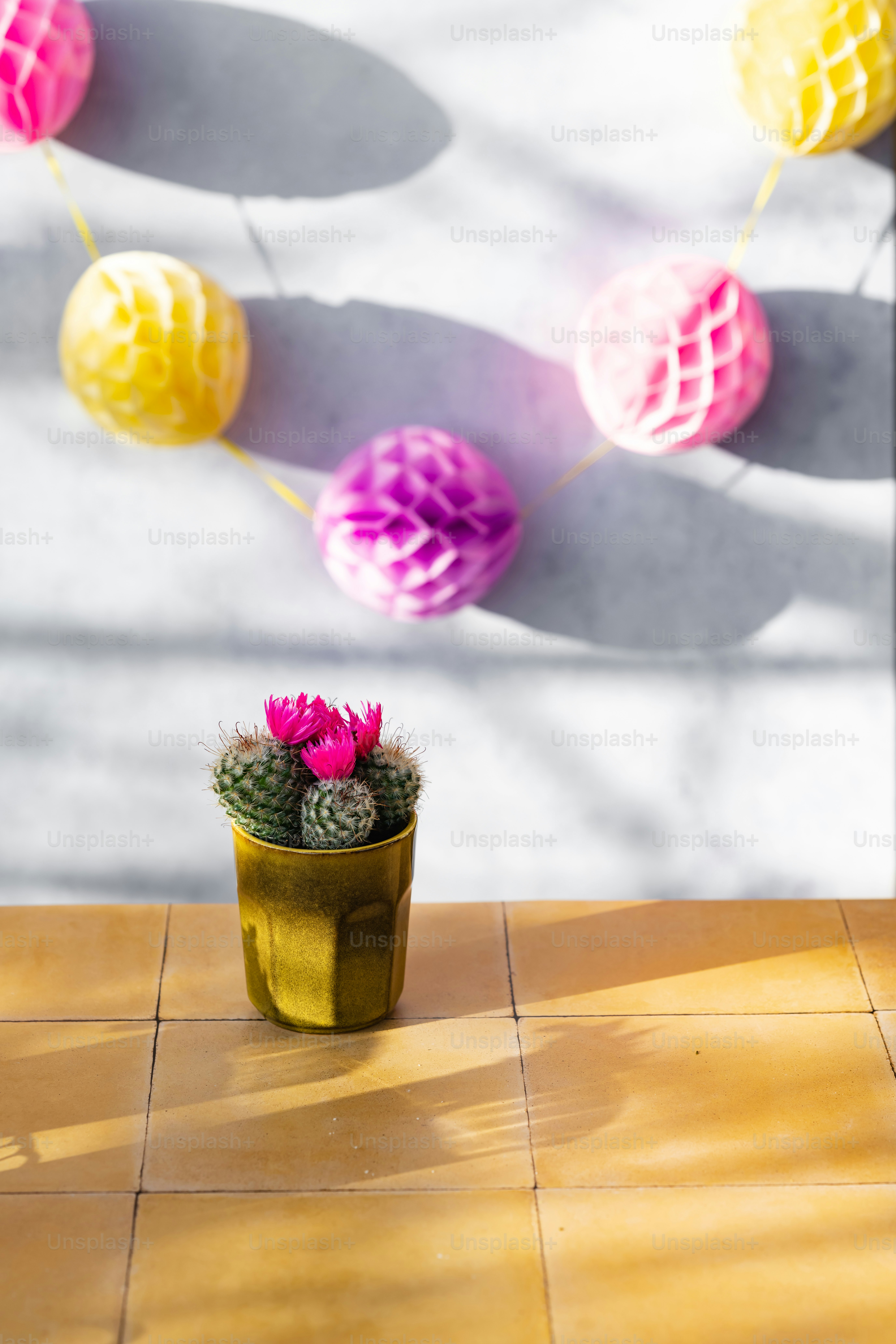 a potted plant sitting on top of a wooden table