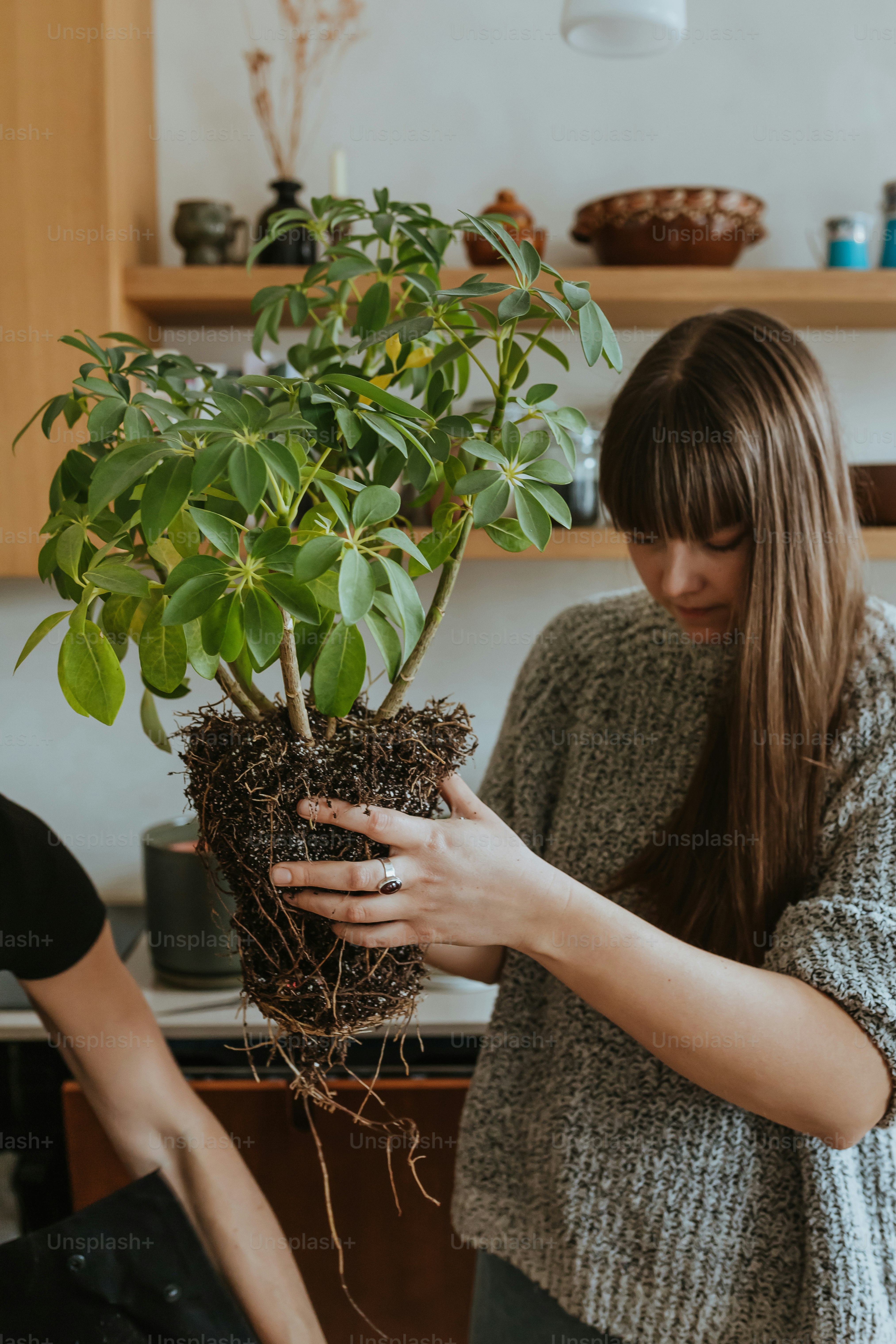 a woman holding a potted plant in her hands