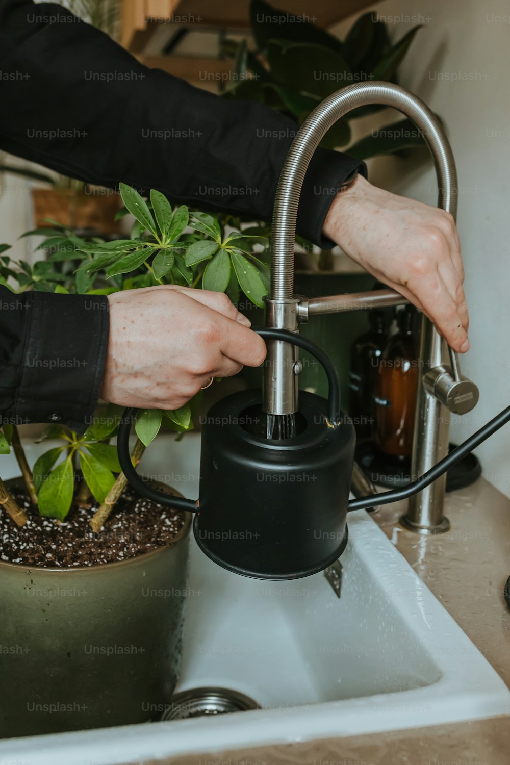 una persona che lava una pianta in vaso in un lavandino