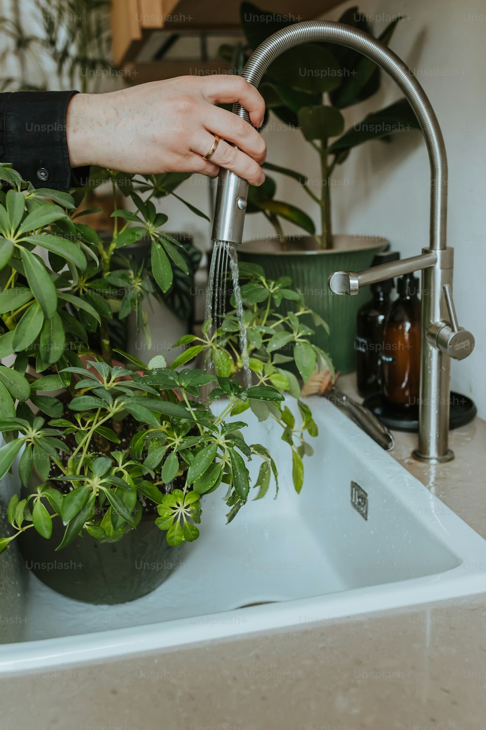 a person is washing plants in a sink