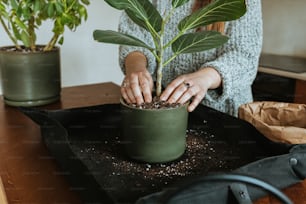 a woman is putting dirt on a potted plant
