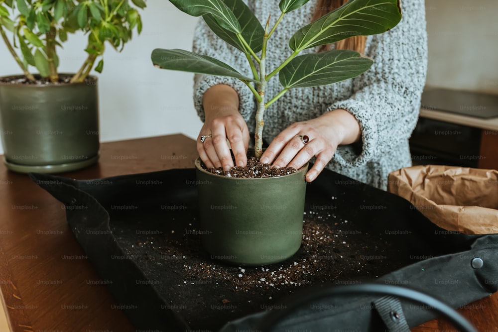 a woman is putting dirt on a potted plant