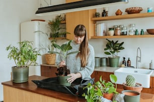 Una mujer sosteniendo una planta en maceta en una cocina
