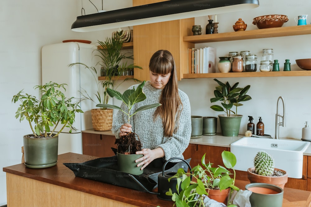 Una mujer sosteniendo una planta en maceta en una cocina