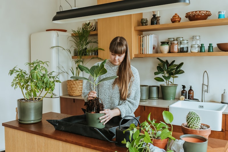 植物を置かなくてもできるボタニカルインテリアの始め方