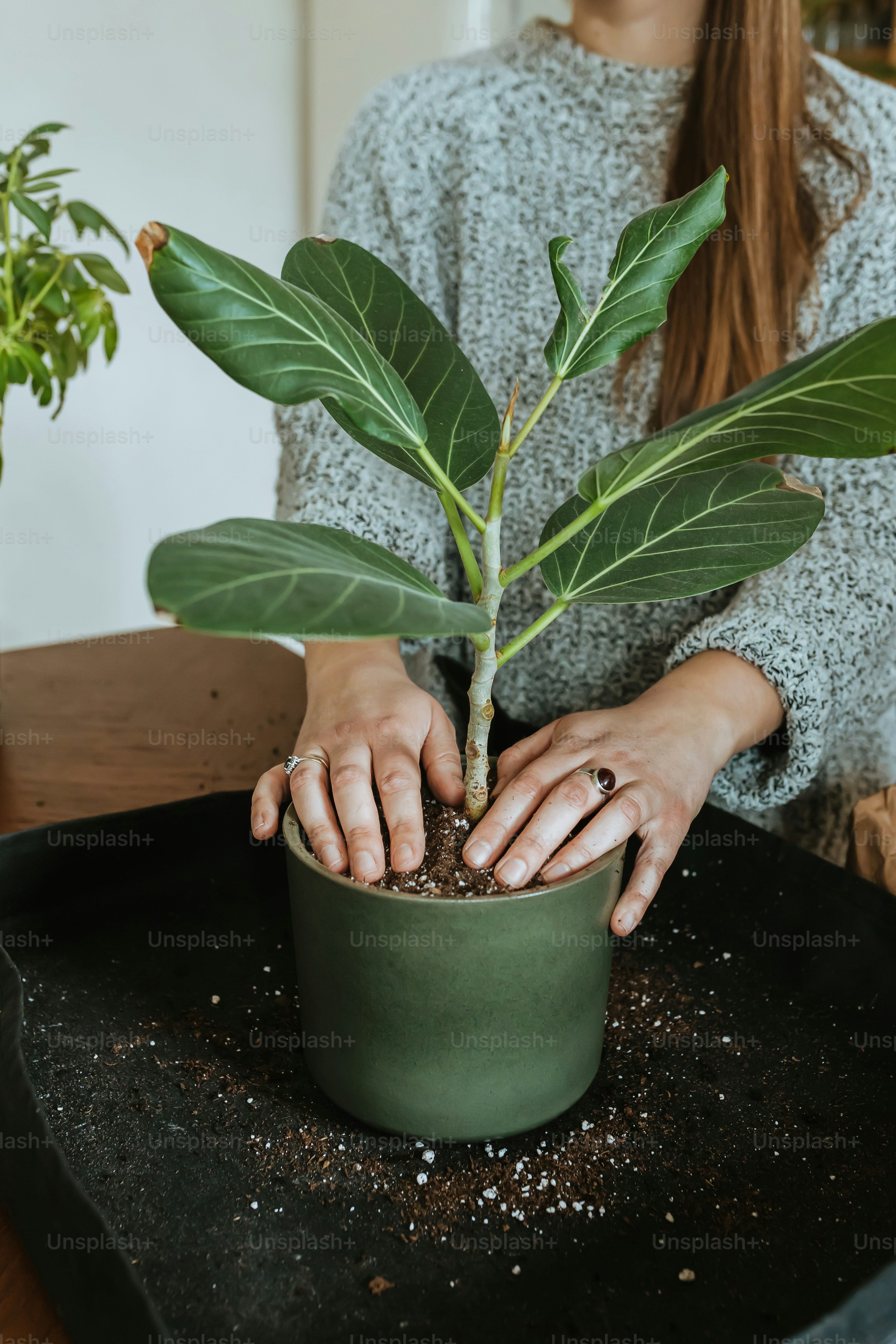 화분을 손에 들고 있는 여자