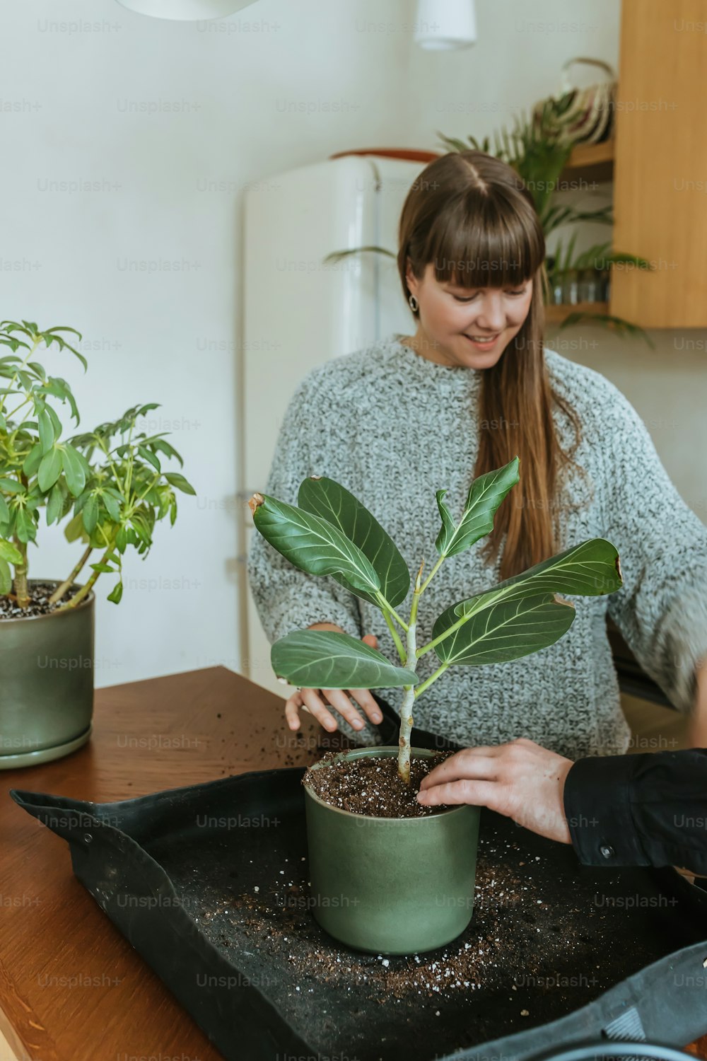 木のテーブルの上に鉢植えの植物を持つ女性