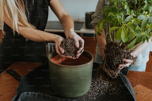 Zwei Frauen halten Pflanzen in den Händen