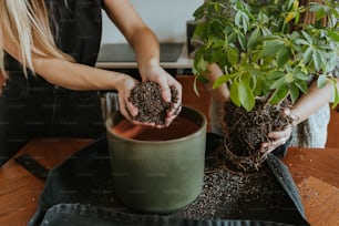 two women holding plants in their hands on a table