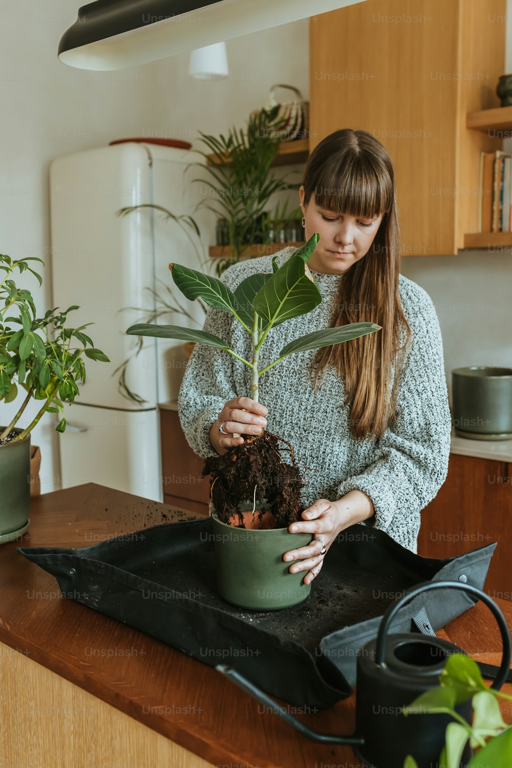 a woman is holding a potted plant in her hands