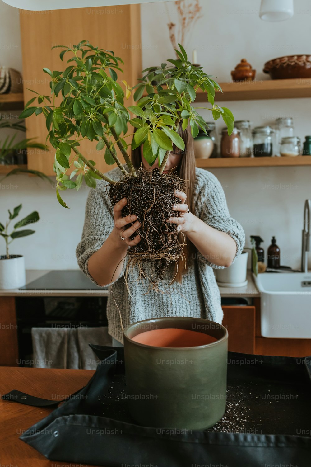 una donna che tiene una pianta in vaso tra le mani