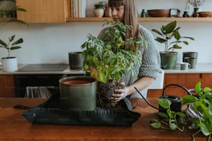 a woman holding a potted plant on top of a wooden table