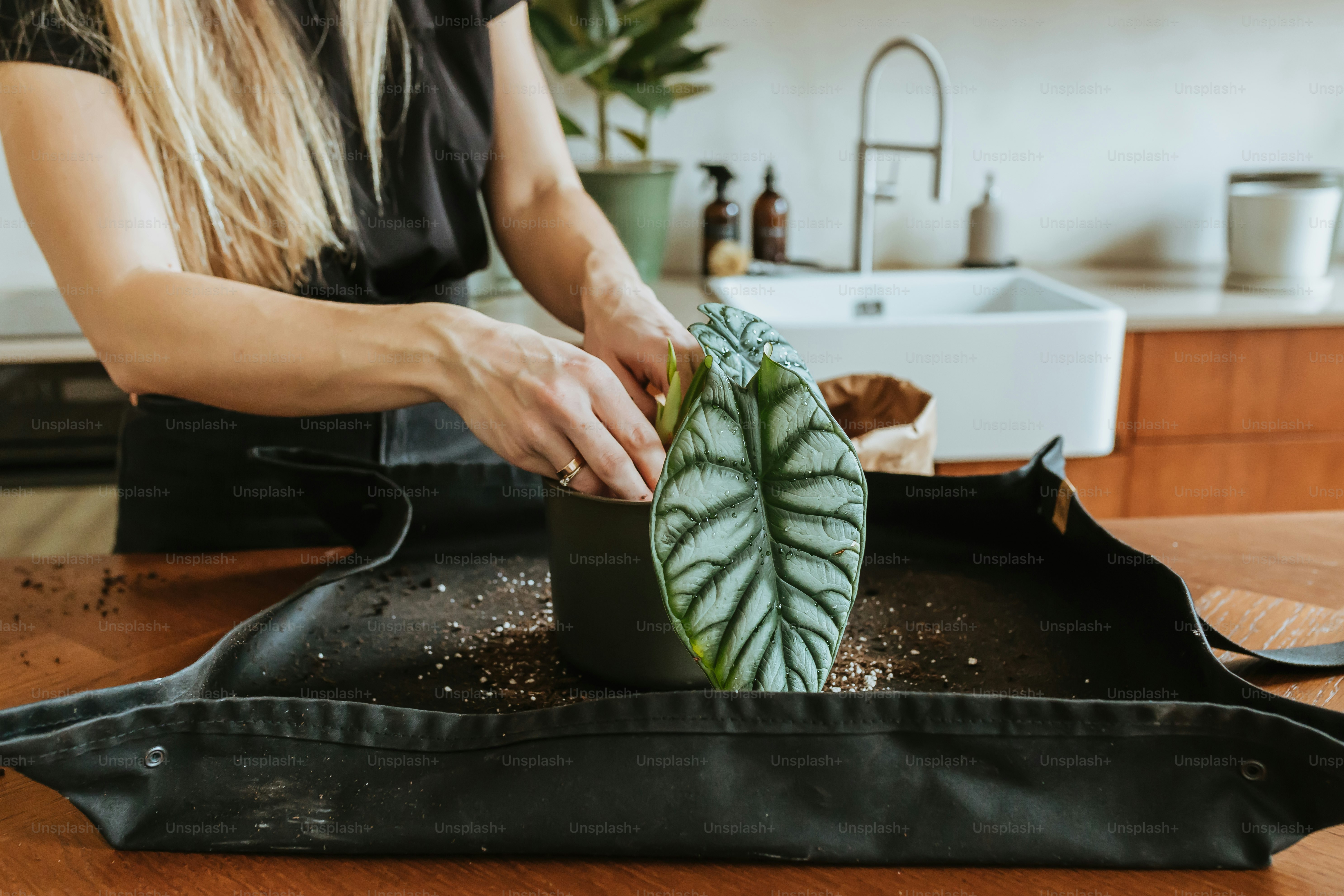 a woman cutting a green leaf on top of a black bag