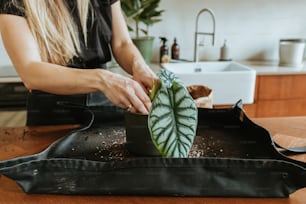 a woman cutting a green leaf on top of a black bag