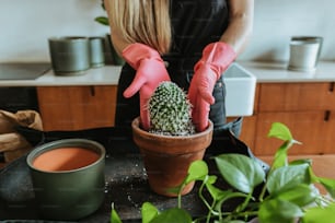a woman in pink gloves is holding a cactus in a pot