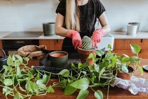 a woman in a black shirt is holding a potted plant