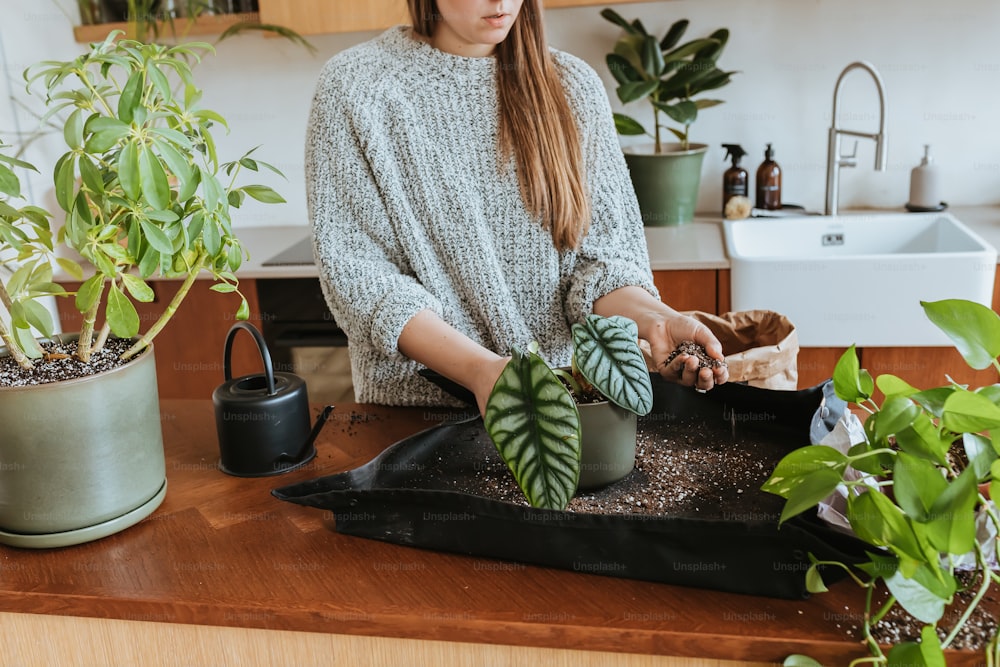 Una mujer está sentada en el mostrador de una cocina con una planta en maceta