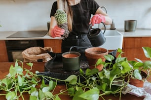 a woman in a black shirt and pink gloves pours water into a pot