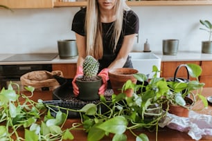 a woman in a kitchen with a potted plant