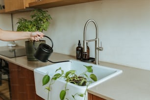 a woman is watering plants in a kitchen sink
