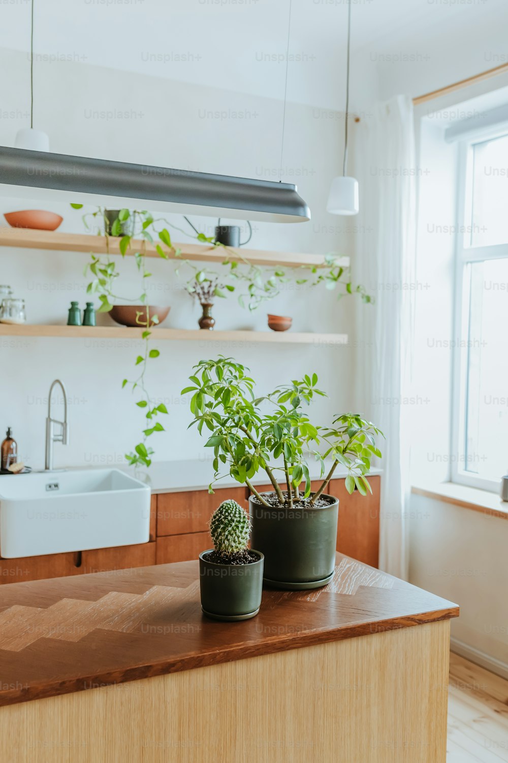two potted plants on a counter in a kitchen