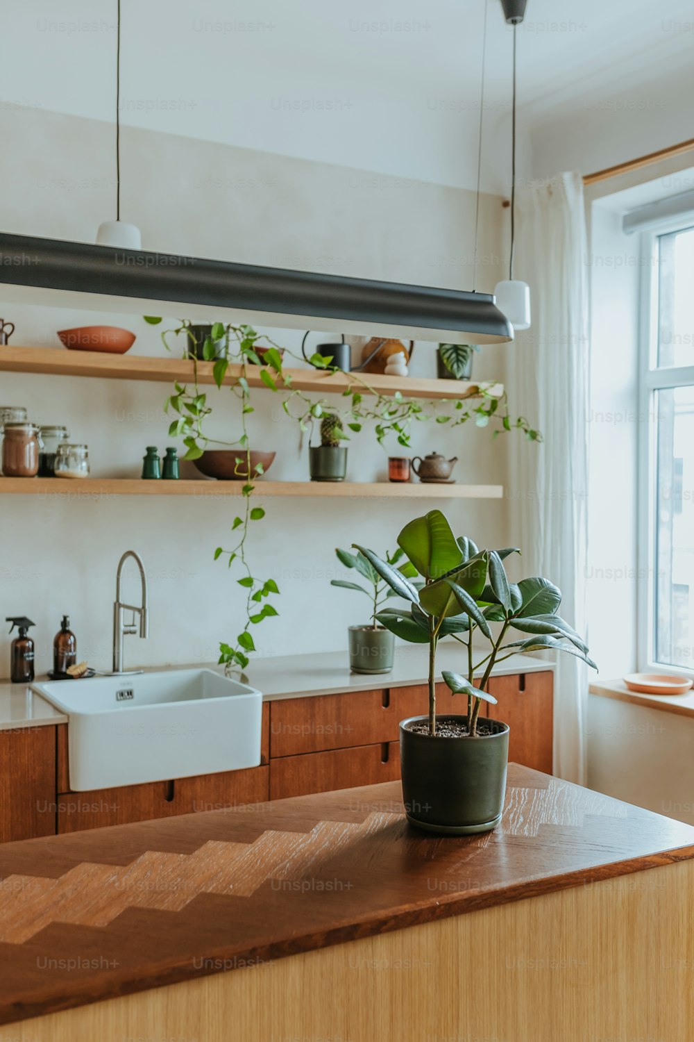 a potted plant sitting on top of a wooden counter