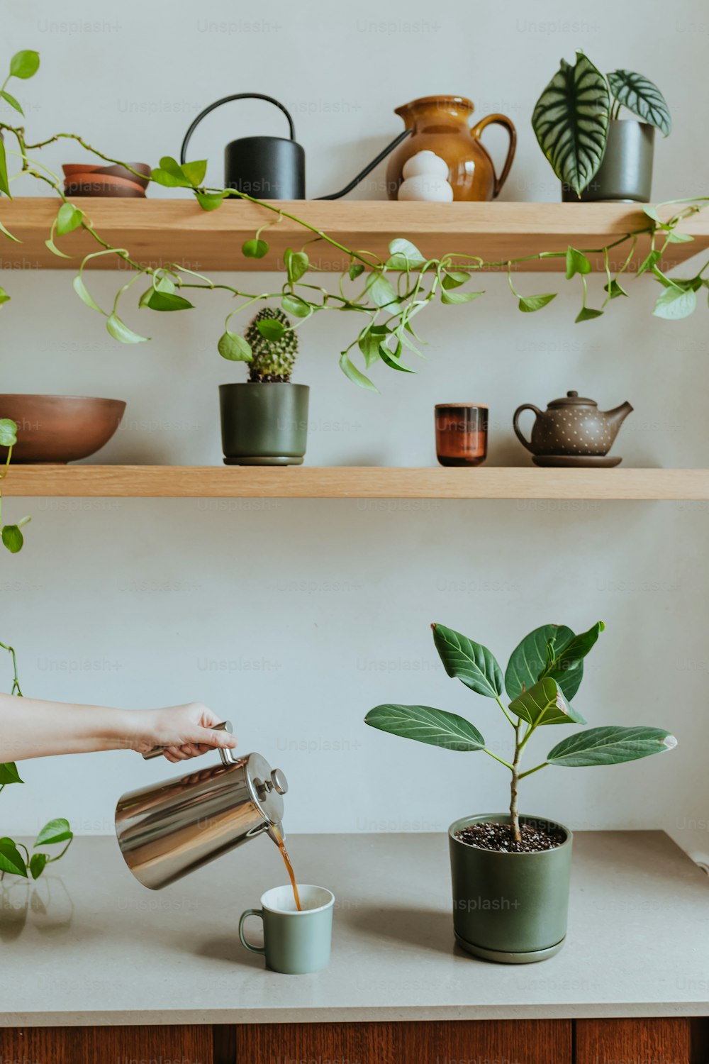 a woman watering a plant on a shelf