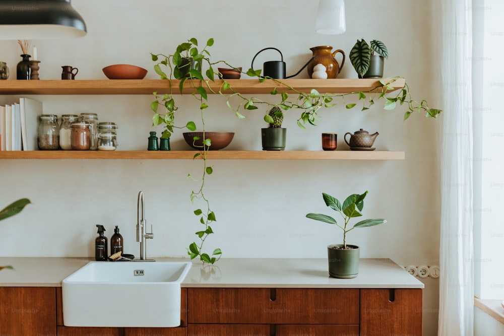 a kitchen with a sink and shelves filled with plants