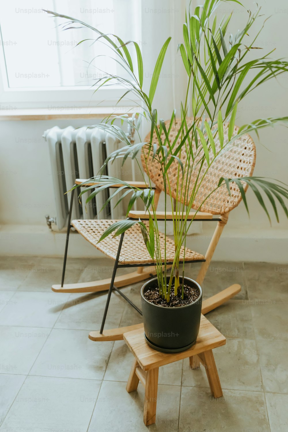 um vaso de planta sentado em cima de uma cadeira de madeira