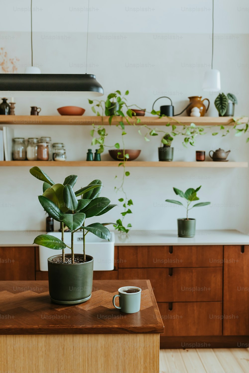 a potted plant sitting on top of a wooden table