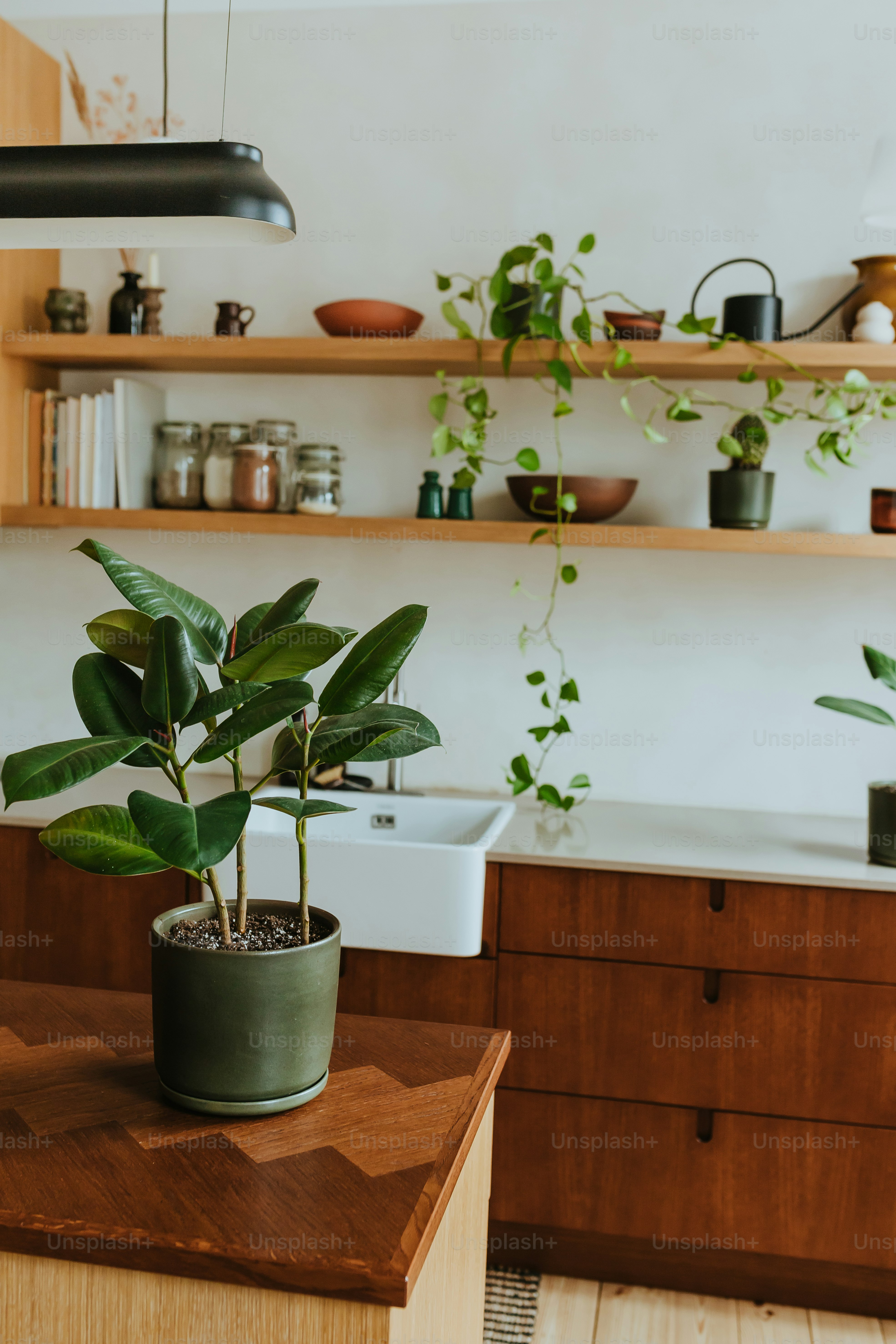 a potted plant sitting on top of a wooden table