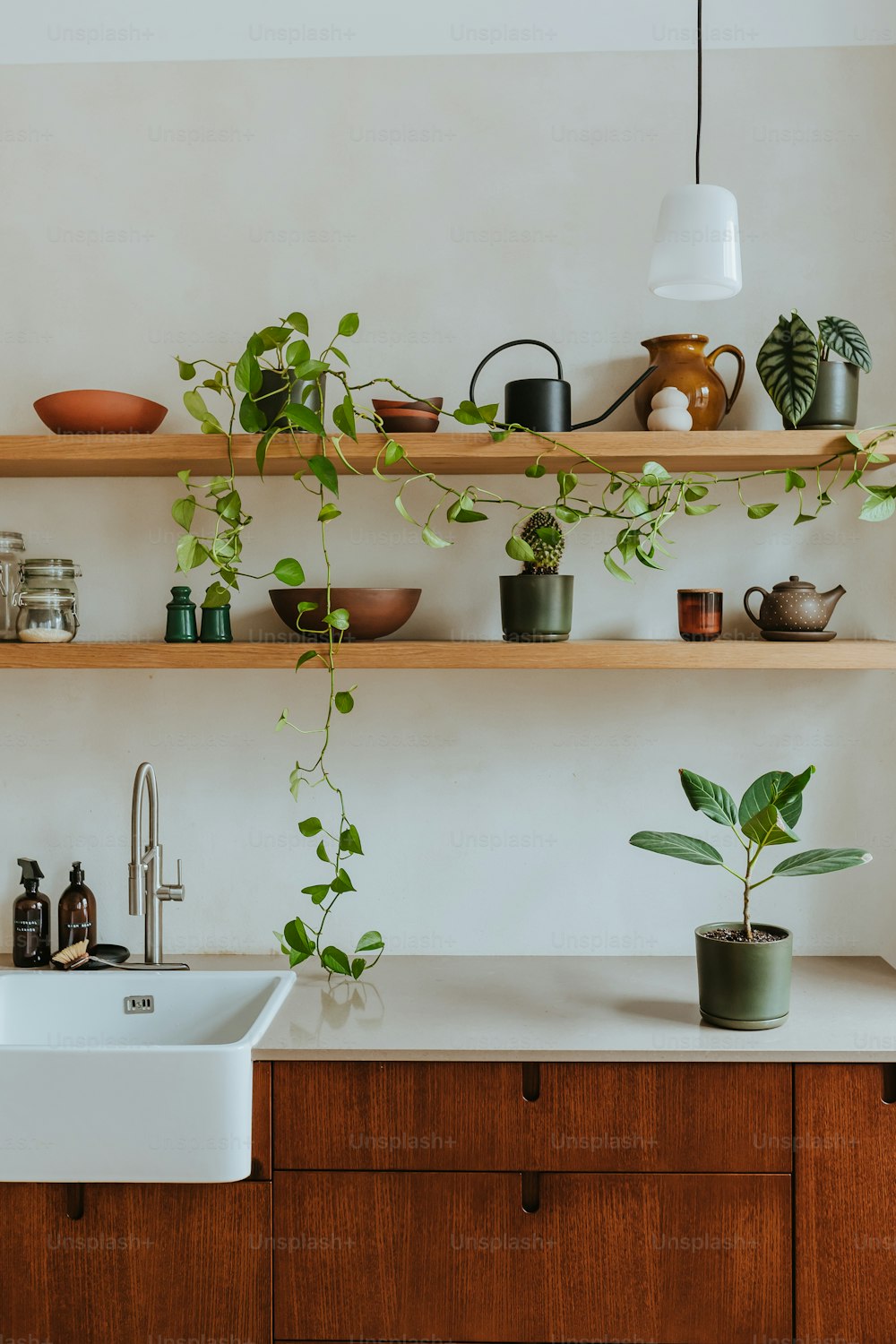 Una cocina con fregadero y estantes llenos de plantas