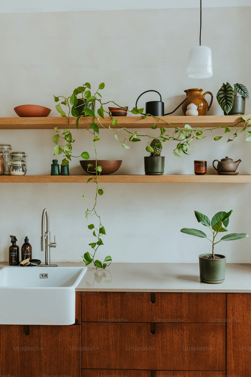 Una cocina con fregadero y estantes llenos de plantas