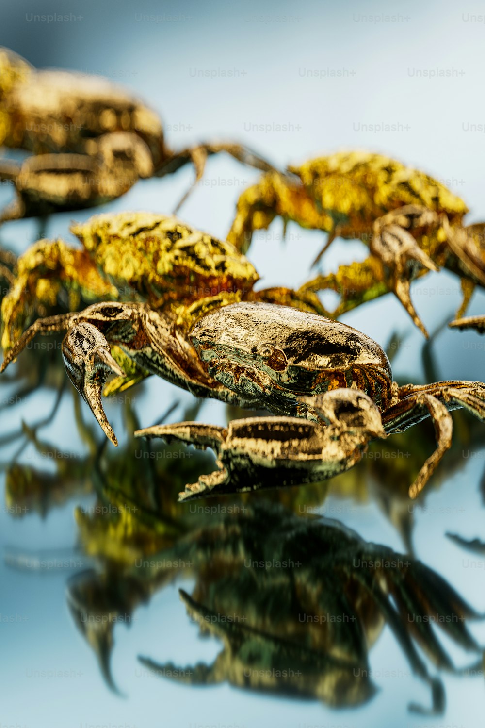 a group of small lizards sitting on top of a table