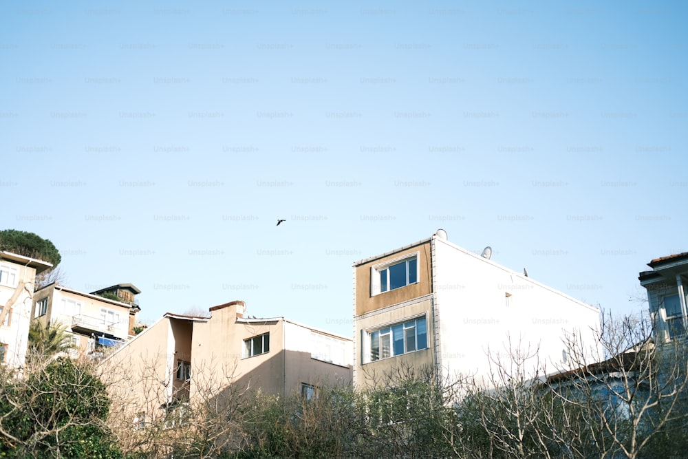 a bird is flying over a row of houses