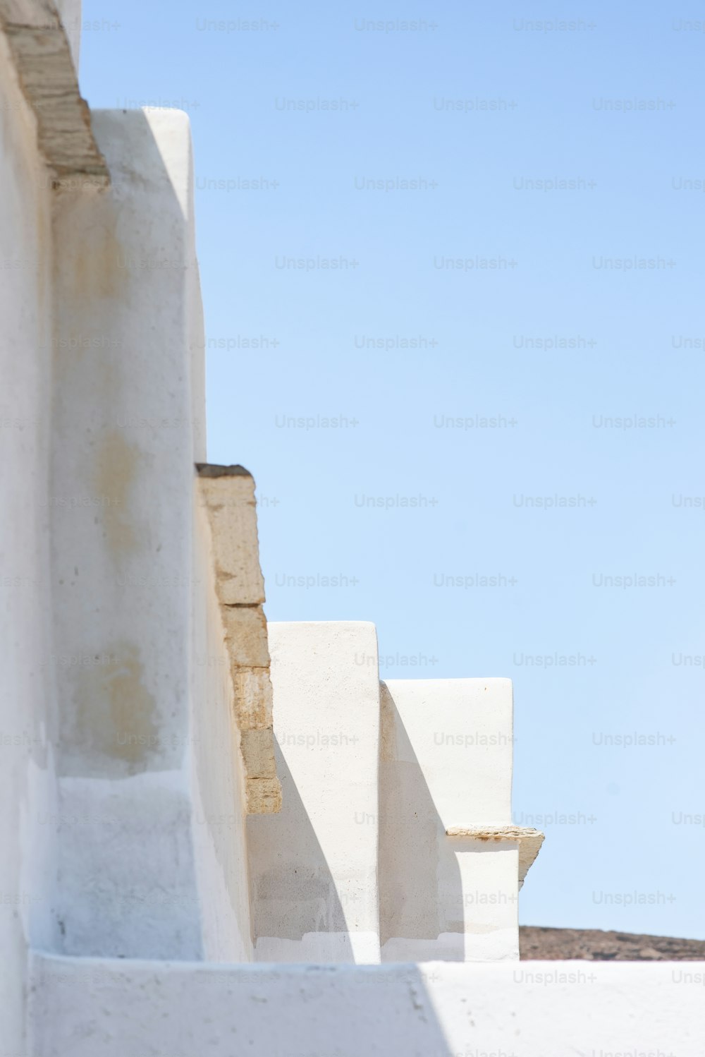 a black and white cat sitting on a white wall