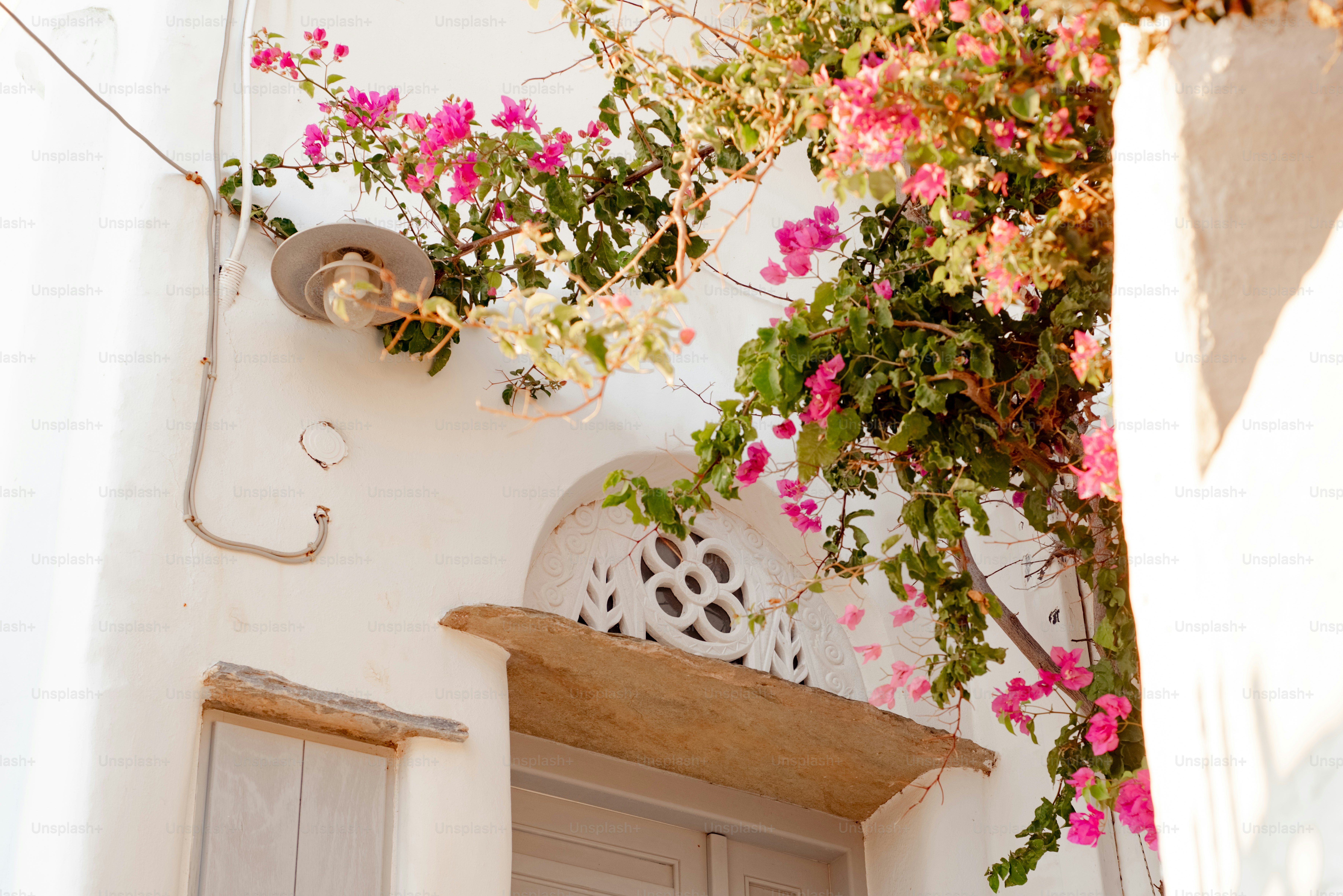 un bâtiment blanc avec des fleurs roses qui poussent dessus