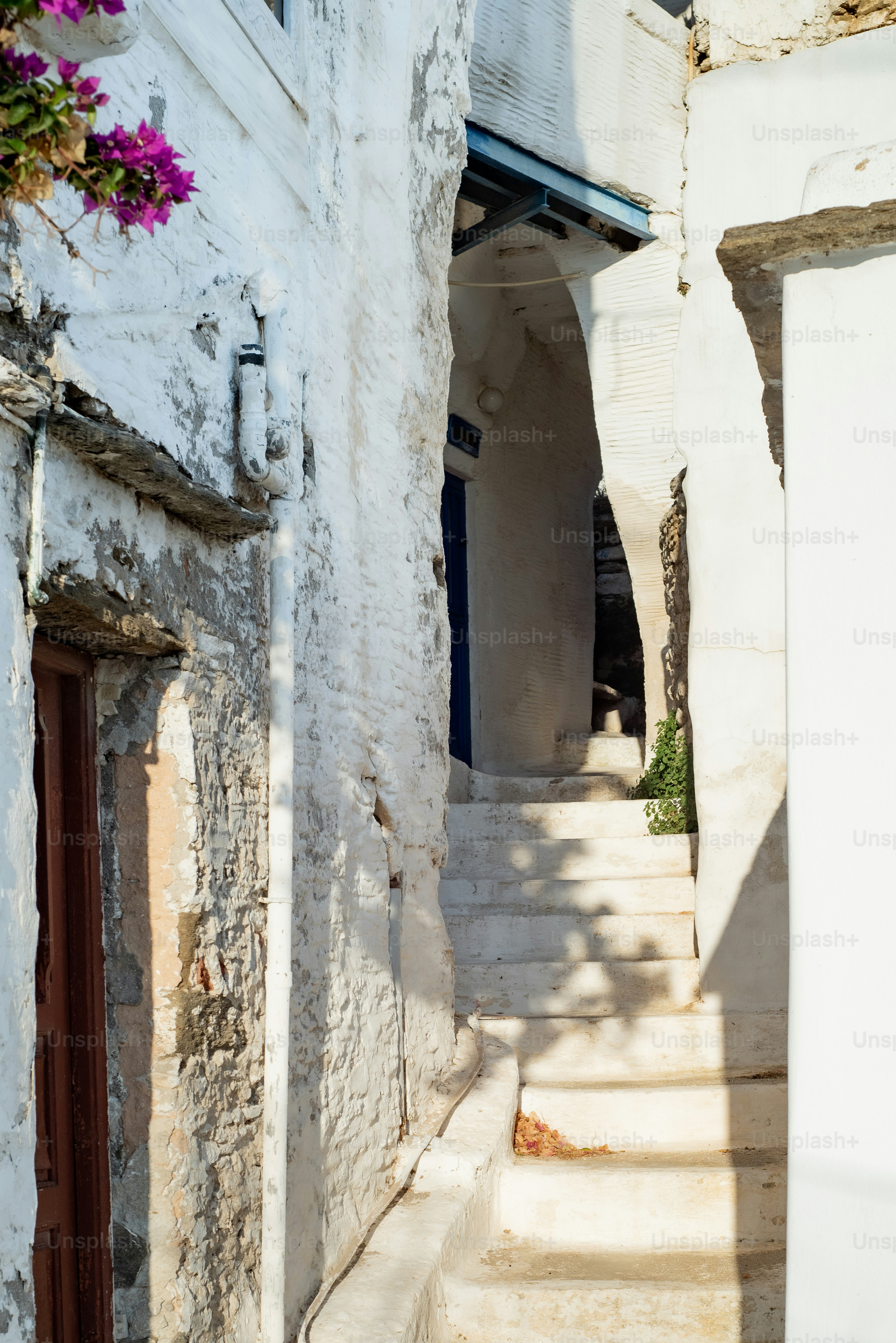 A cat sitting on the steps of a building photo – Building Image on Unsplash