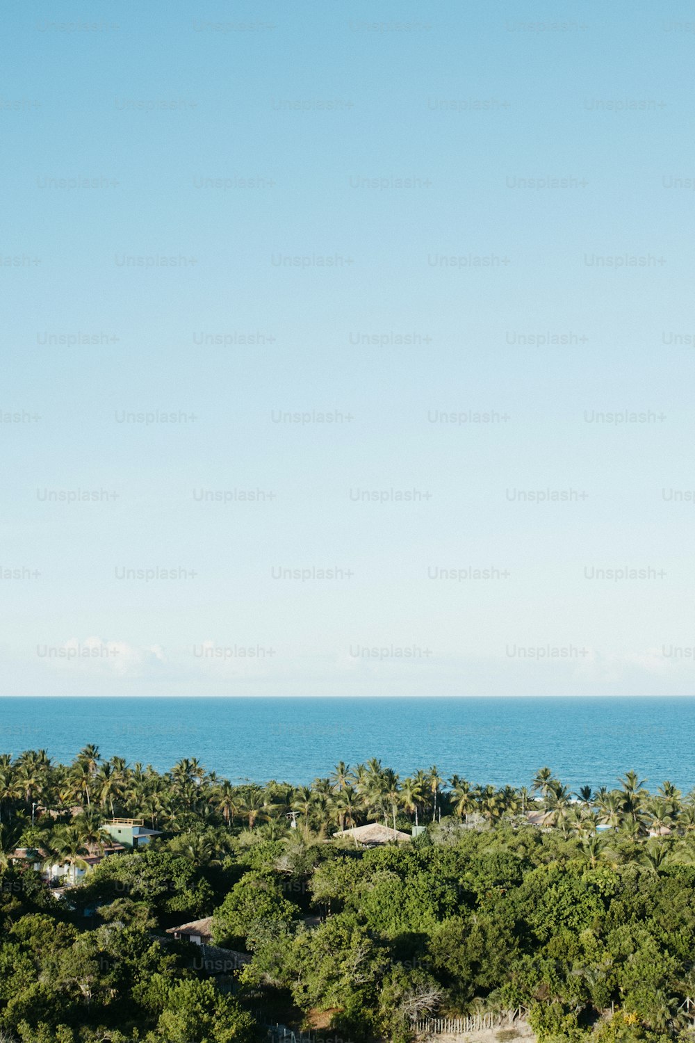 a plane flying over a lush green forest next to the ocean