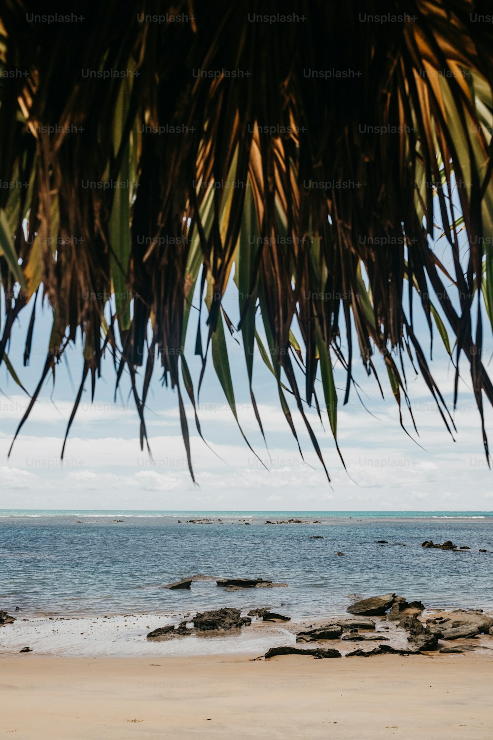 a view of the ocean from a sandy beach