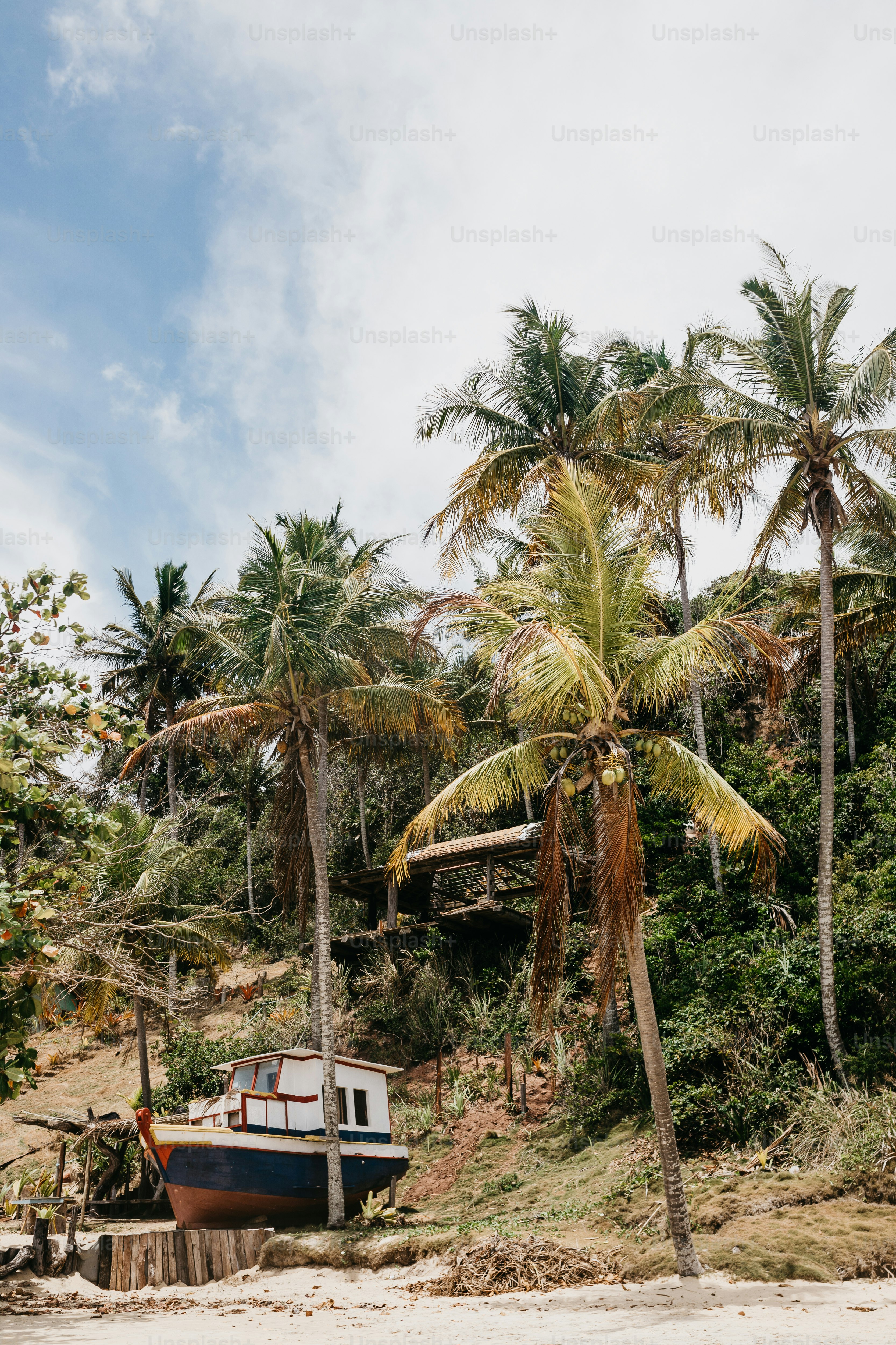 ヤシの木の隣のビーチの上に座っているボート