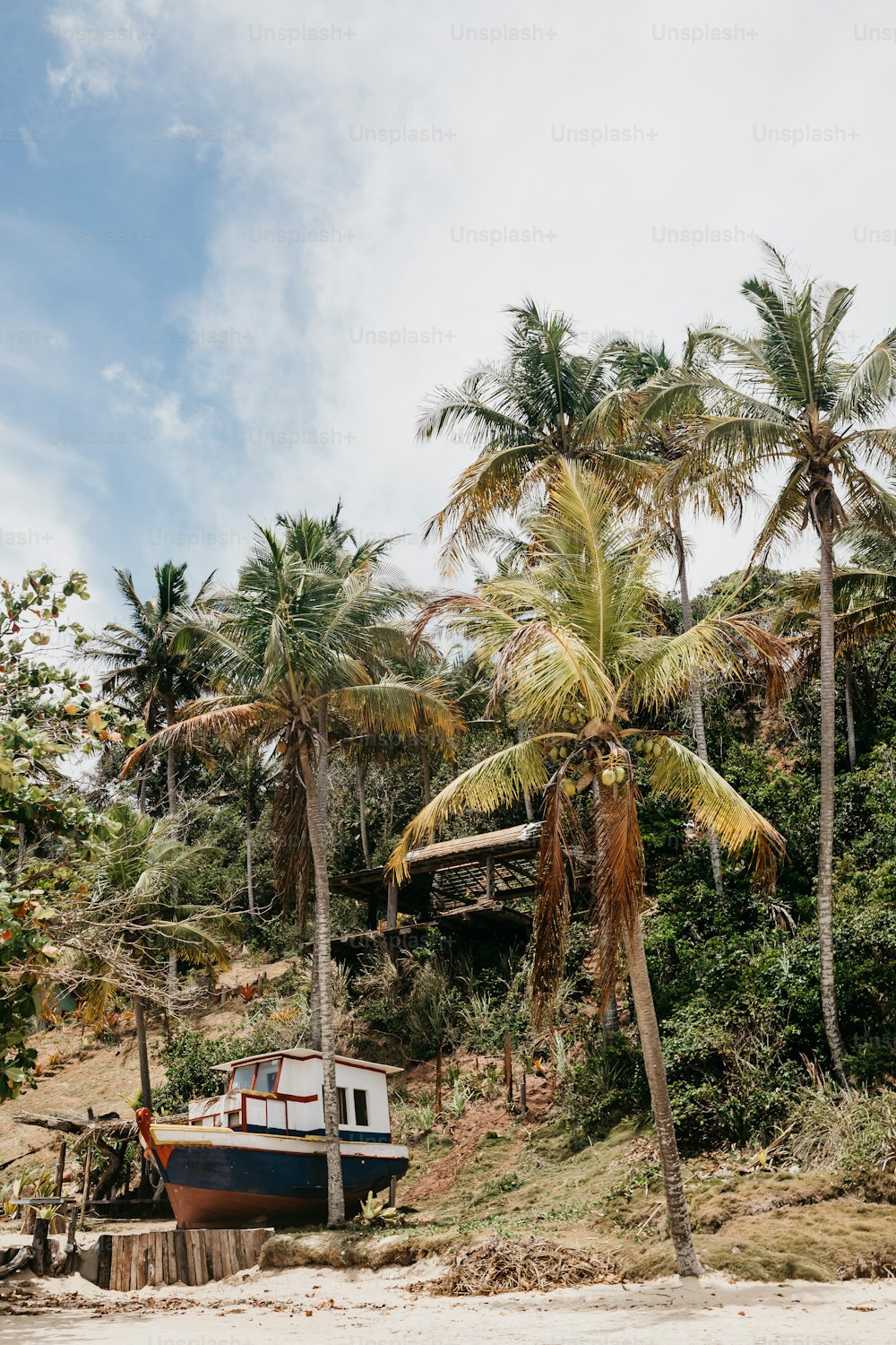 Una barca seduta sulla cima di una spiaggia vicino alle palme