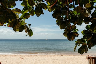 a beach with a boat in the distance