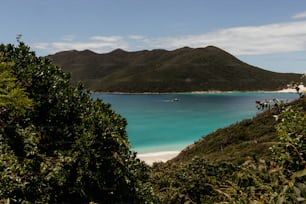 a view of a beach with a boat in the water