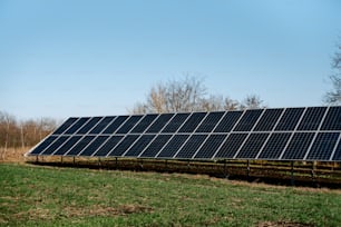 Una fila di pannelli solari seduti in cima a un rigoglioso campo verde