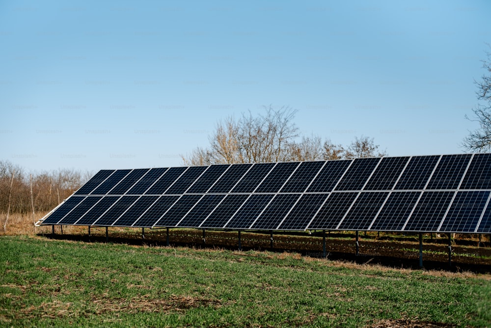 a row of solar panels sitting on top of a lush green field