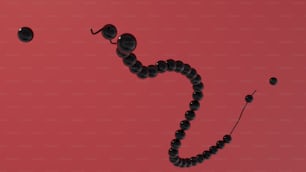 eine schwarze Perlenkette, an der schwarze Perlen hängen