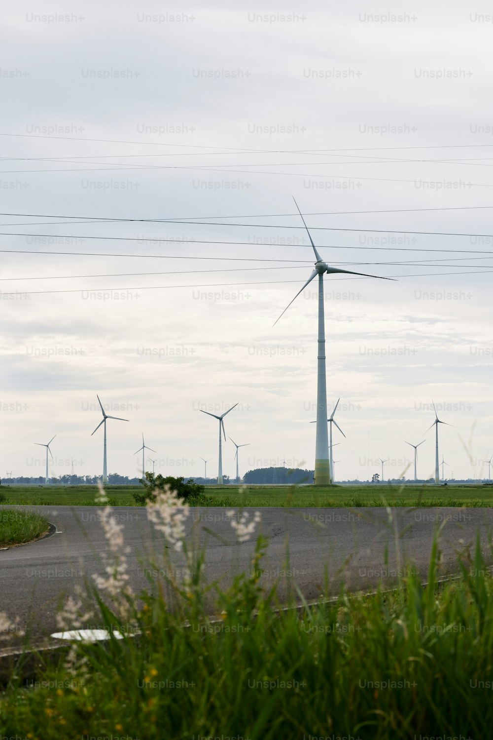 Un parco eolico con le turbine eoliche sullo sfondo